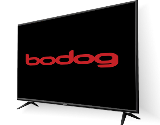 Bodog logo on a television